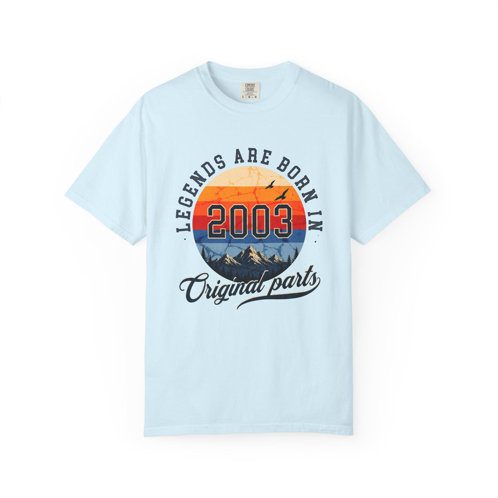 Legends Are Born in 2003 – 23rd Birthday T-Shirt