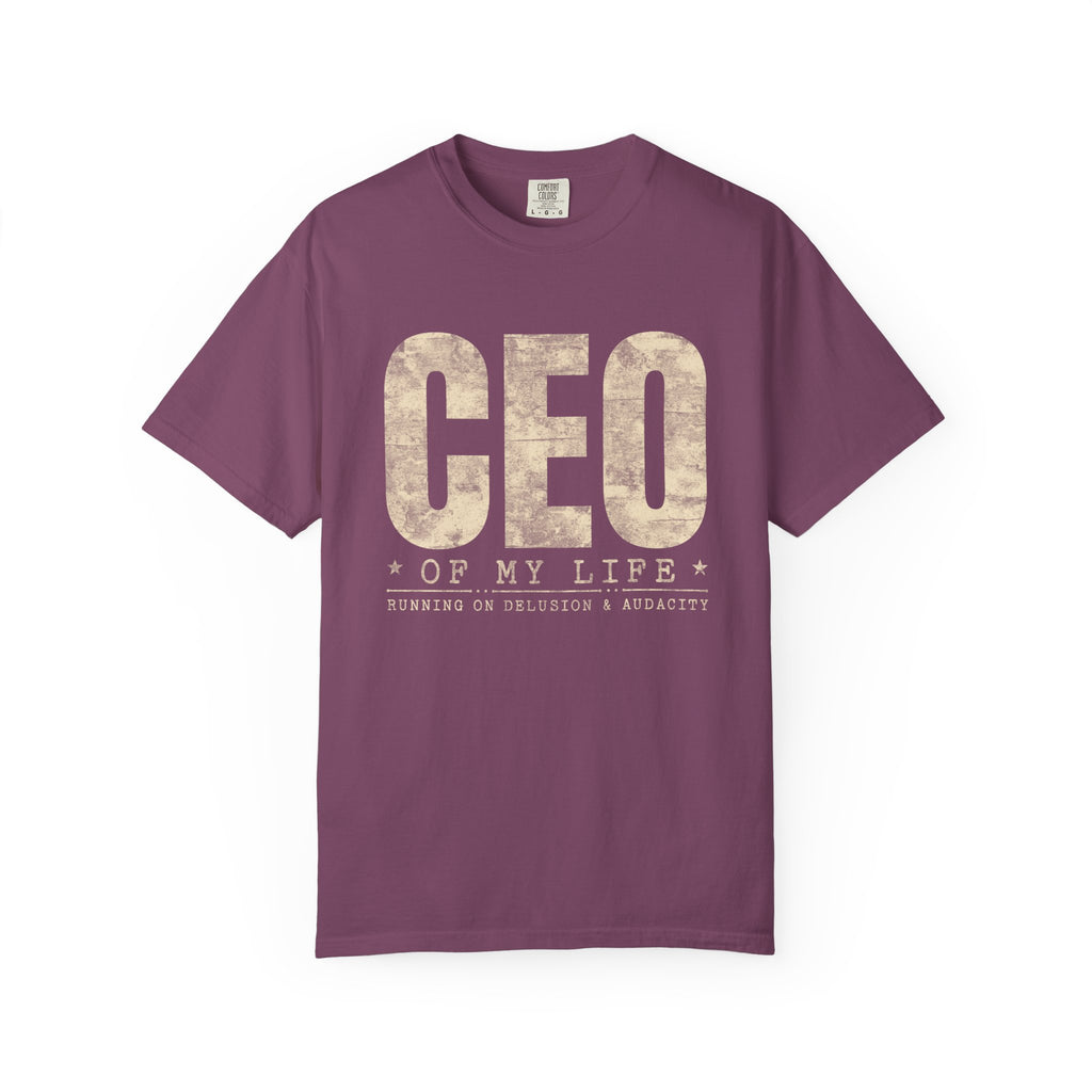 Running on Delusion & Audacity – Funny Entrepreneur T-Shirt | Explorer Edition