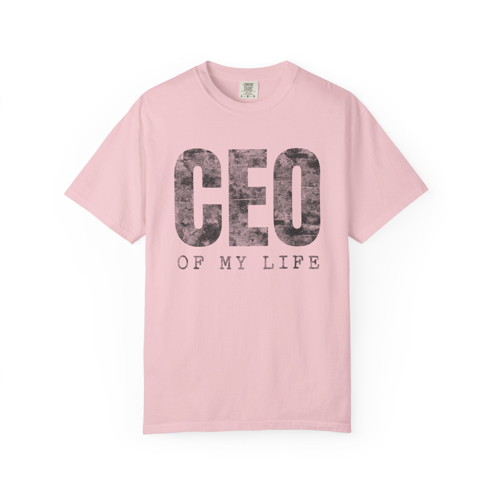 CEO of My Life – Minimalist Entrepreneur T-Shirt | Explorer Edition