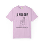 Born to Fetch – Labrador Retriever T-Shirt
