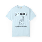 Born to Fetch – Labrador Retriever T-Shirt