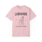 Born to Fetch – Labrador Retriever T-Shirt